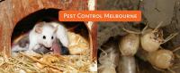 Squeak Pest Control Melbourne image 5